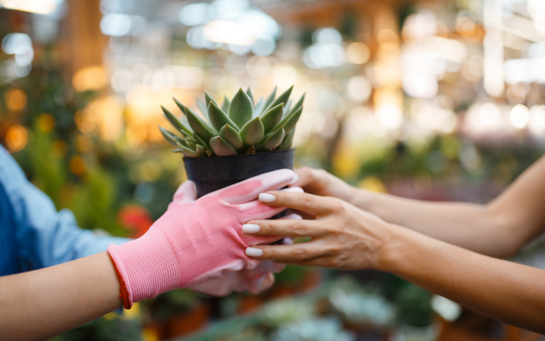 Annual Plant Swap May 7