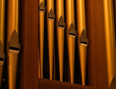 Organ_Pipes Cropped